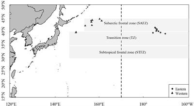 Migration Route Reconstruction of Different Cohorts of Ommastrephes bartramii in the North Pacific Based on Statolith Microchemistry